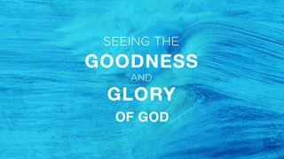 Seeing the Goodness and Glory of God 2 Corinthians 5:19-20 New International Version