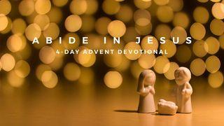 Abide in Jesus - 4-Day Advent Devotional Luke 2:12 New International Version