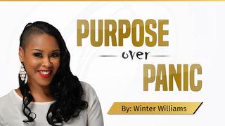 Purpose Over Panic Part 2:  Embracing Your Call in the Midst of It All HANDELINGE 28:23-24 Afrikaans 1983