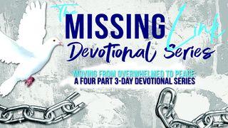 The Missing Link Series: From Overwhelm to Peace Matthew 11:28-29 New International Version