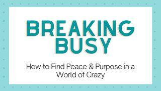 Breaking Busy: Find Peace & Purpose in the Crazy Zechariah 4:10 New International Version