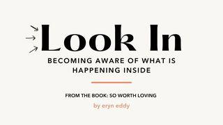 Look In: Becoming Aware of What's Happening Inside Matthew 11:28-29 New International Version