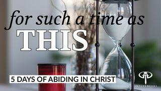 For A Time Such As This Acts 4:32-36 New International Version