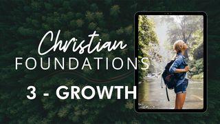 Christian Foundations 3 - Growth Hebrews 10:19-25 The Message