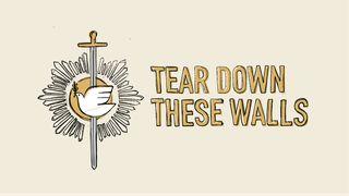 Ephesians: Tear Down These Walls Ephesians 3:7 Amplified Bible