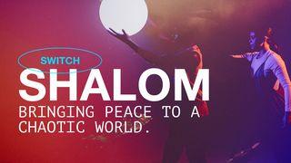 Shalom Acts 5:15 New International Version