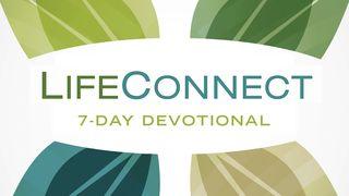 LifeConnect Devotionals by Wayne Cordeiro Exodus 17:1-16 New Living Translation