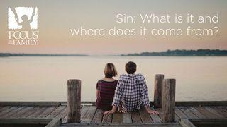 Sin: What Is It And Where Does It Come From? James 1:13-17 New International Version
