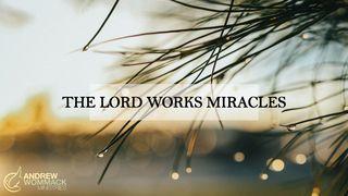 The Lord Works Miracles Mark 1:41-42 Christian Standard Bible