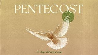Pentecost: 5 Day Devotional John 15:26 New International Version