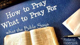 How to Pray & What to Pray for – What the Bible Says 1 Chronicles 29:10-19 New International Version