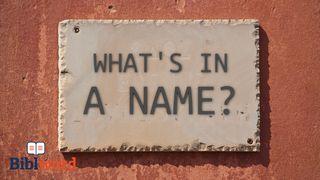 What's in a Name? Acts 3:1-26 New International Version