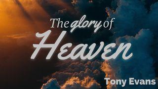 The Glory of Heaven John 14:1 New Living Translation
