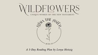 Wildflowers: Lydia the Aster Acts 16:14-15 New King James Version