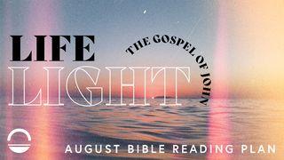 Life Light: Gospel of John Psalms 29:11 New International Version
