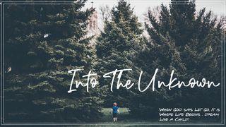 Into the Unknown Matthew 14:28-31 New International Version