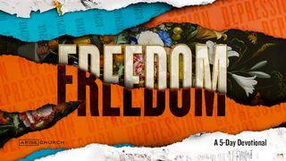 Freedom  Romans 6:11-14 New International Version