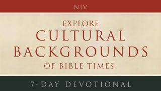 Explore Cultural Backgrounds Of Bible Times  Proverbs 9:12 New International Version