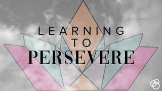 Learning to Persevere  Matthew 14:22-33 English Standard Version 2016