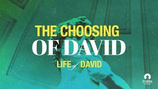 The Choosing of David    1 Samuel 16:13 New International Version