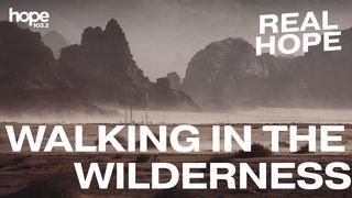 Walking in the Wilderness Hosea 2:14-15 New International Version