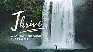 Thrive: A Journey Through the Psalms Psalms 31:14-24 The Message