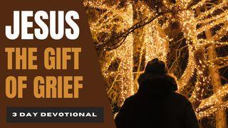 Jesus the Gift of Grief: Overcoming the Holiday Blues 2 Corinthians 12:9 Holman Christian Standard Bible