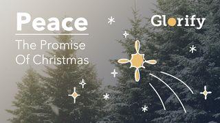 Peace: The Promise of Christmas  Psalms 120:1-7 New International Version
