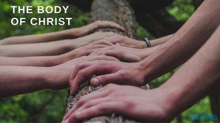The Body of Christ Psalms 133:1 New International Version