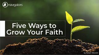 Five Ways to Grow Your Faith  Joshua 4:1-24 New International Version