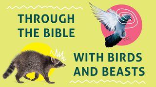 Through the Bible With Birds and Beasts Psaltaren 104:26 Svenska Folkbibeln