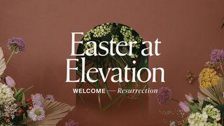 Welcome Resurrection Matthew 27:43 New International Version