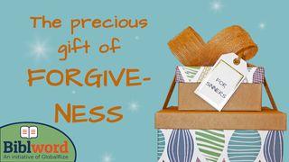 The Precious Gift of Forgiveness Hebrews 9:25 King James Version