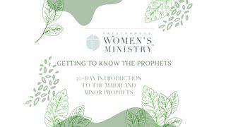 Getting to Know the Prophets Joshua 7:10-26 New International Version