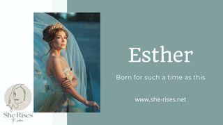 Esther, Born for Such a Time as This Esther 4:1-17 New International Version
