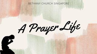 A Prayer Life Deuteronomy 11:13-15 New International Version