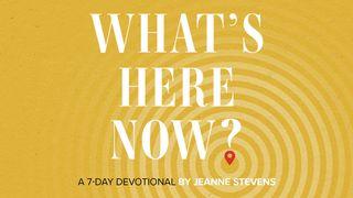 What's Here Now? Psalms 31:9-18 New International Version