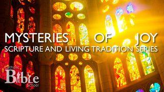 Mysteries Of Joy Luke 2:36-52 New International Version