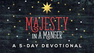 Majesty In A Manger Romans 5:7-8 New International Version