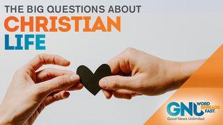 The Big Questions About the Christian Life Psalms 82:3-4 New International Version
