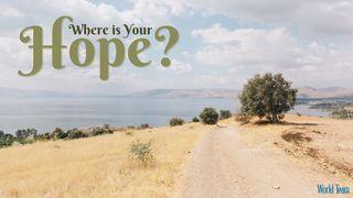 Where Is Your Hope? Luke 18:37 New International Version
