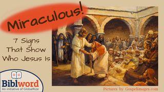 Miraculous! Seven Signs That Show Who Jesus Is Revelation 1:17-20 The Message