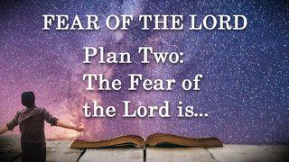 Plan Two: The Fear of the Lord Is… Psalms 147:11 New International Version