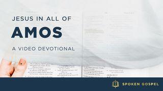 Jesus in All of Amos - A Video Devotional Psalms 119:57 New Living Translation
