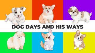 Dog Days and His Ways Psalm 119:148 King James Version