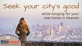 Seek Your City's Good Exodus 32:10 New Living Translation