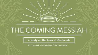 The Coming Messiah: A Study in Zechariah Zechariah 2:8 Amplified Bible, Classic Edition