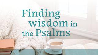 Finding Wisdom in the Psalms Psalms 34:17-22 New International Version