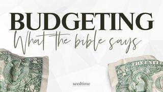 Budgeting Money: What the Bible Says Proverbs 6:6-8 New International Version