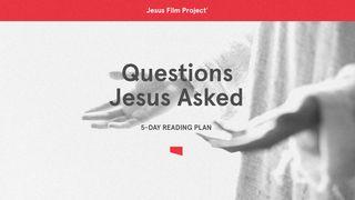 Questions Jesus Asked Luke 9:20 New International Version